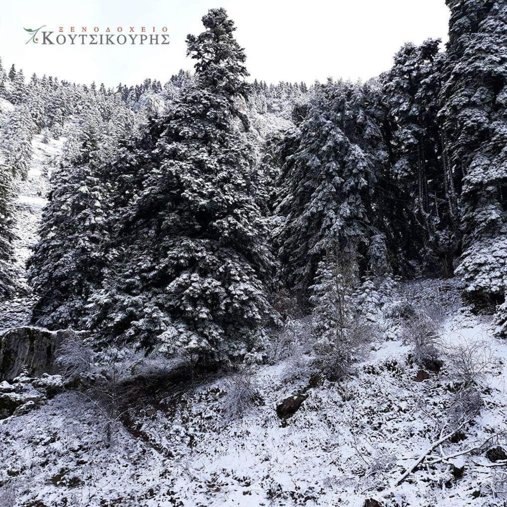 Koutsikouris Hotel Platanakos エクステリア 写真